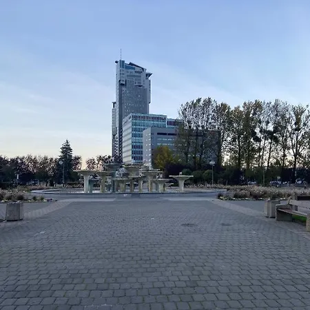 Centrum شقة